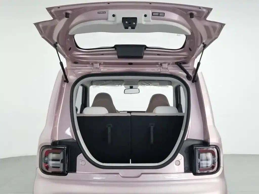Panda 2025 Panda Mini 210km - Energetic Bear — миниатюра 16