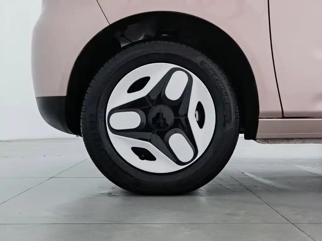 Panda 2025 Panda Mini 210km - Energetic Bear — миниатюра 17