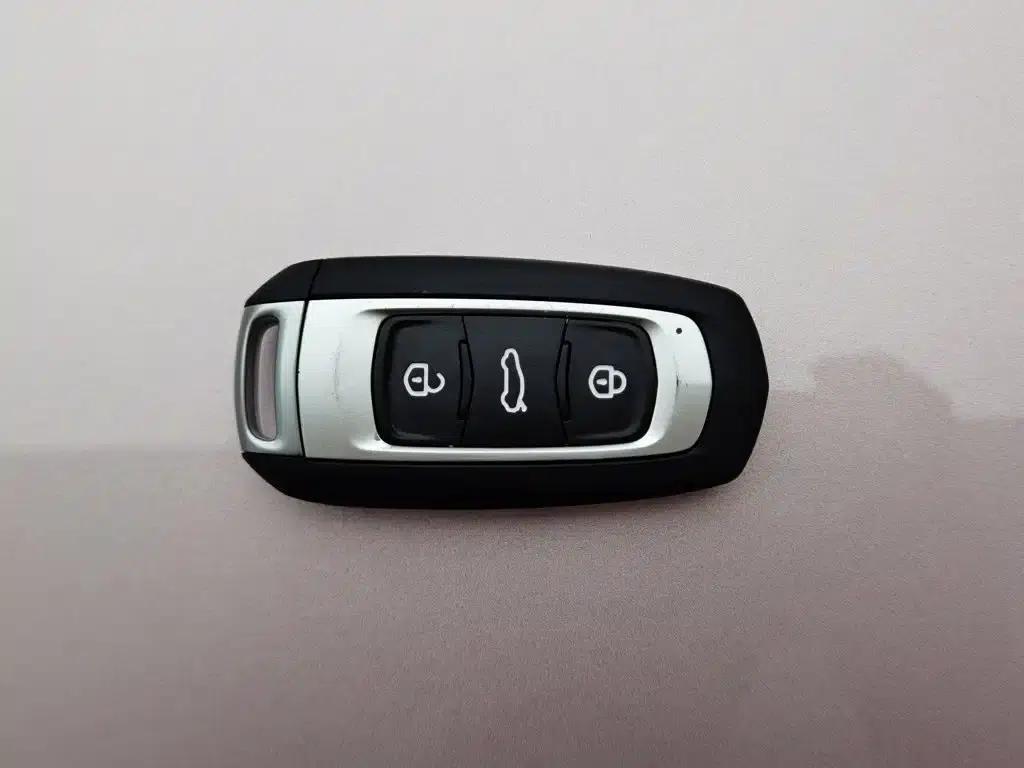 Panda 2025 Panda Mini 210km - Energetic Bear — миниатюра 19