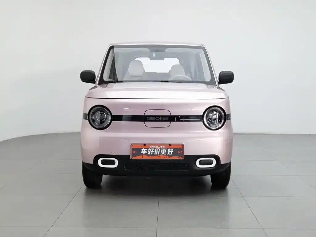 Panda 2025 Panda Mini 210km - Energetic Bear — миниатюра 3