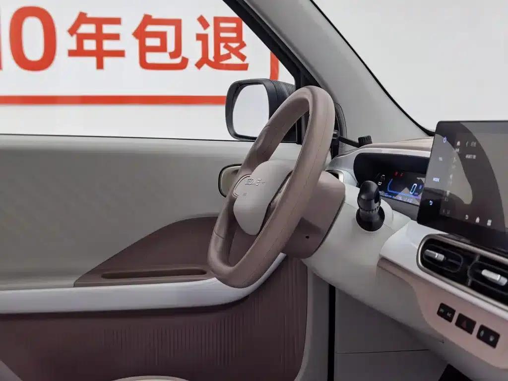 Panda 2025 Panda Mini 210km - Energetic Bear — миниатюра 22