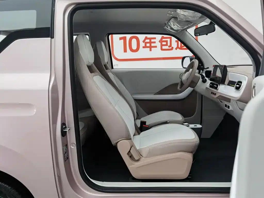 Panda 2025 Panda Mini 210km - Energetic Bear — миниатюра 23