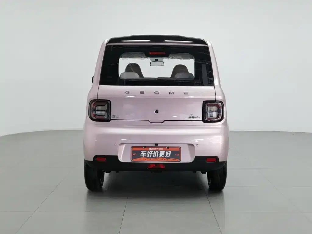 Panda 2025 Panda Mini 210km - Energetic Bear — миниатюра 4