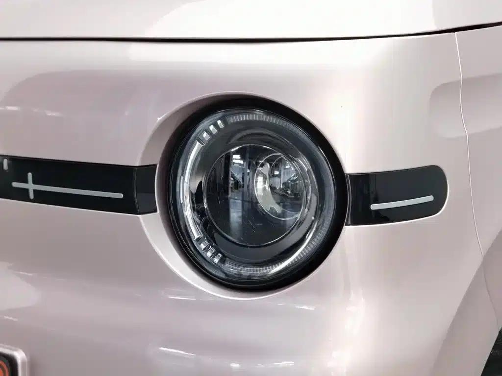 Panda 2025 Panda Mini 210km - Energetic Bear — миниатюра 7