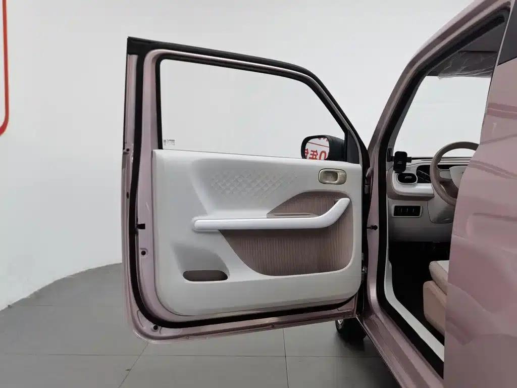 Panda 2025 Panda Mini 210km - Energetic Bear — миниатюра 8