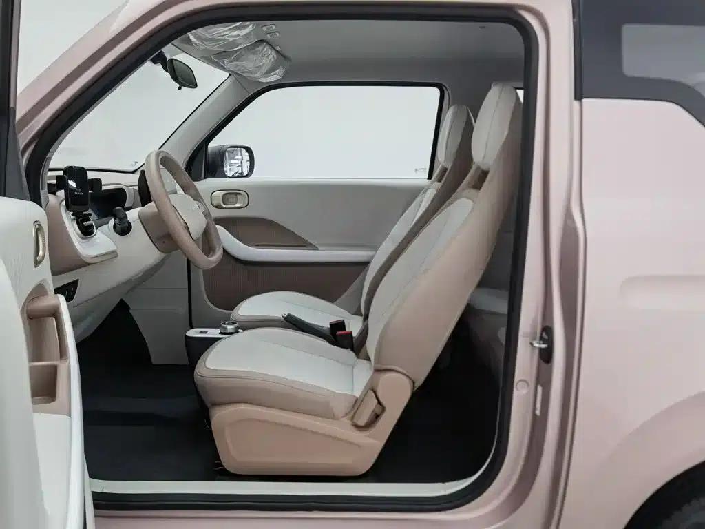 Panda 2025 Panda Mini 210km - Energetic Bear — миниатюра 10