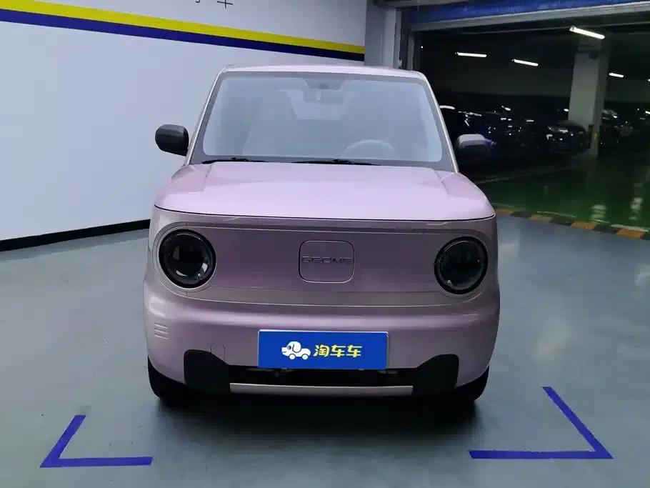 Panda 2023 Panda Mini 200km Endurance Bear — миниатюра 2