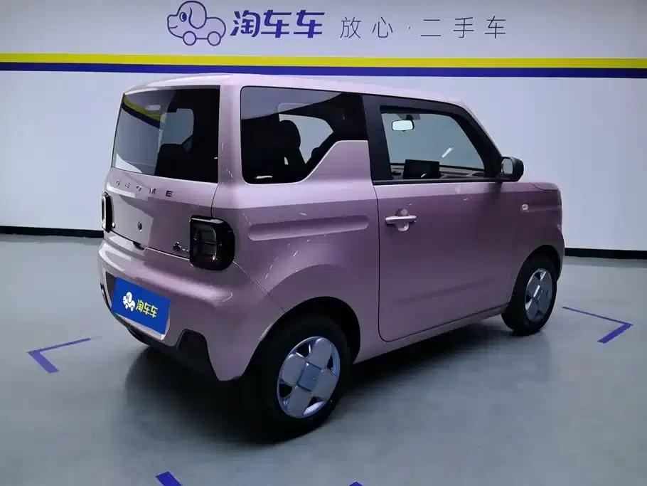 Panda 2023 Panda Mini 200km Endurance Bear — миниатюра 3