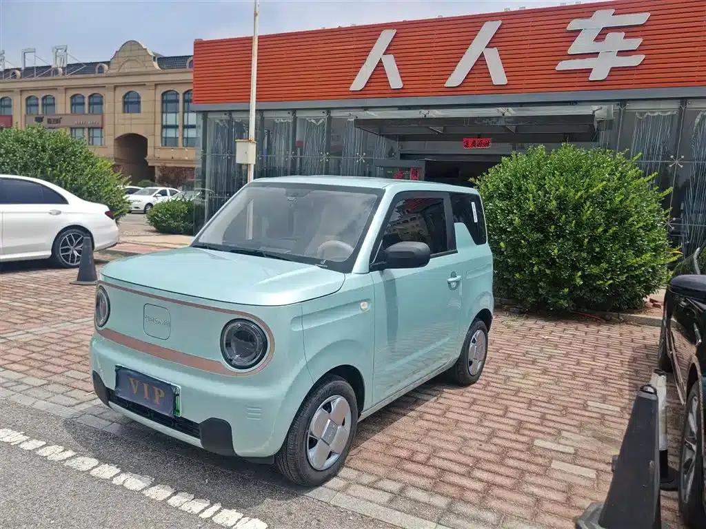 Panda 2024 Panda Mini 200km Endurance Bear — миниатюра 1