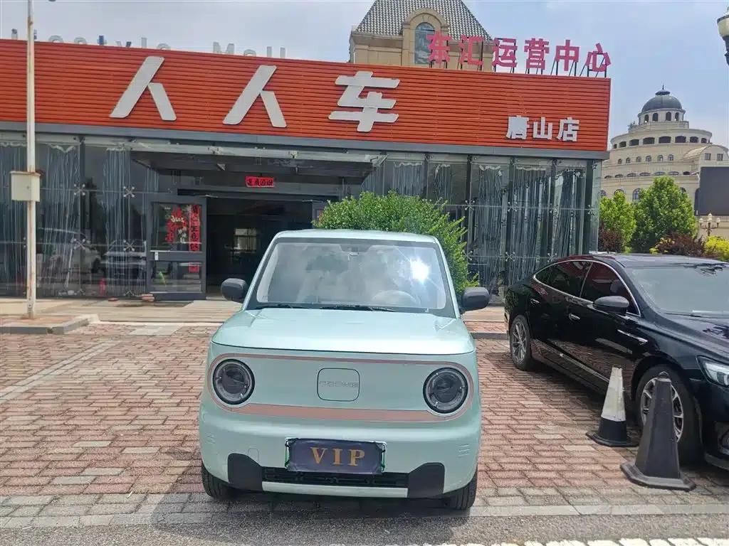 Panda 2024 Panda Mini 200km Endurance Bear — миниатюра 2