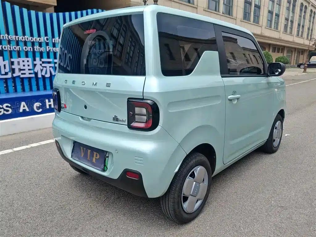 Panda 2024 Panda Mini 200km Endurance Bear — миниатюра 12