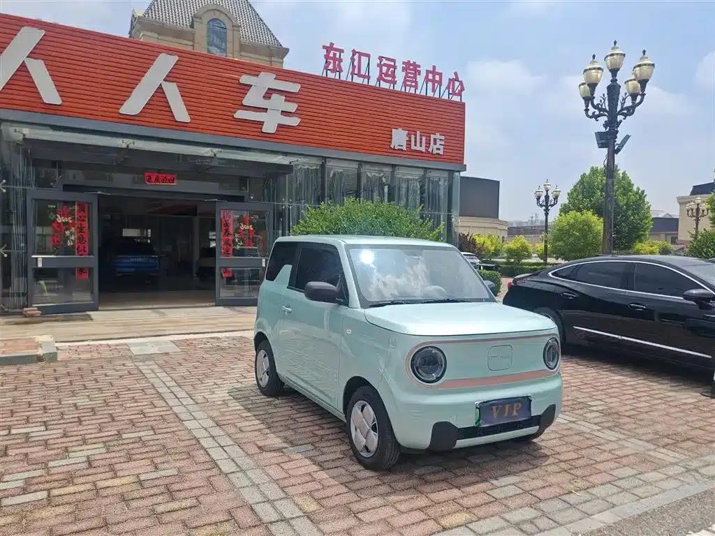 Panda 2024 Panda Mini 200km Endurance Bear — миниатюра 3