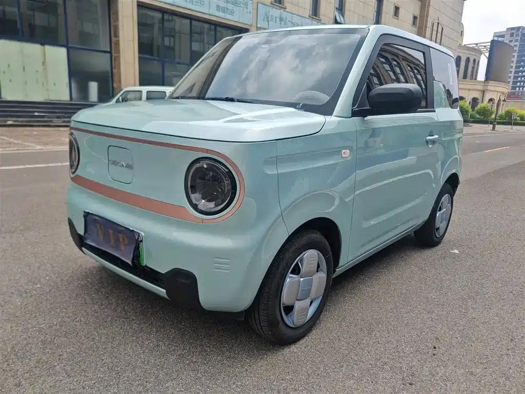Panda 2024 Panda Mini 200km Endurance Bear — миниатюра 4