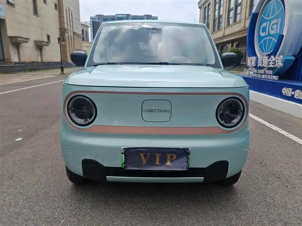Panda 2024 Panda Mini 200km Endurance Bear — миниатюра 5