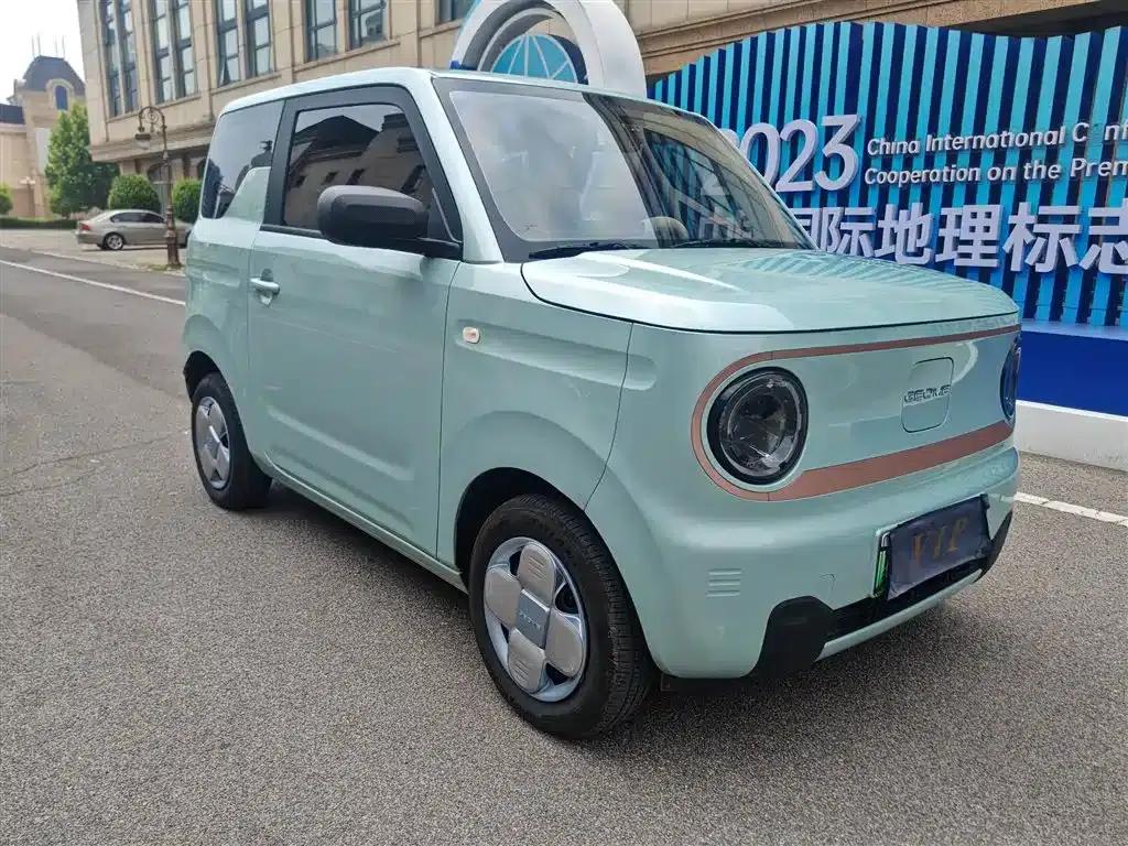 Panda 2024 Panda Mini 200km Endurance Bear — миниатюра 6