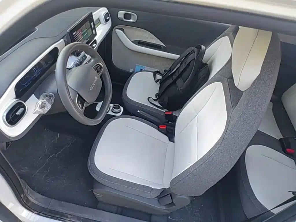Panda 2025 Panda Mini 210km - Energetic Bear — миниатюра 15