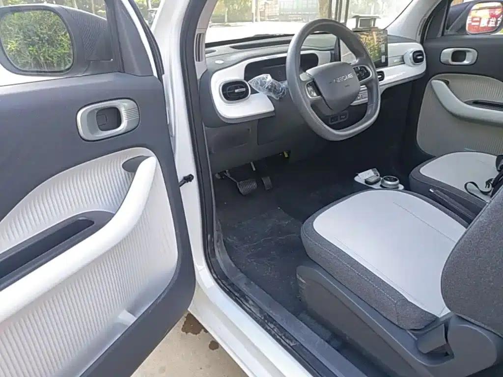 Panda 2025 Panda Mini 210km - Energetic Bear — миниатюра 16