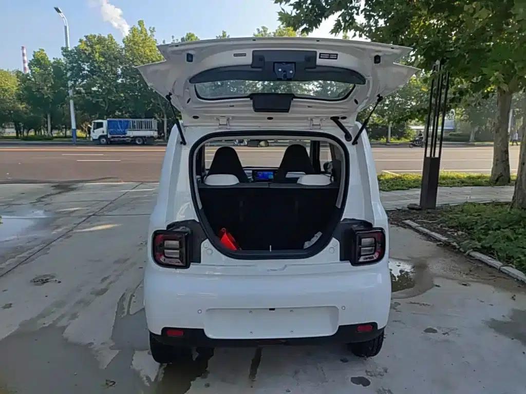 Panda 2025 Panda Mini 210km - Energetic Bear — миниатюра 19