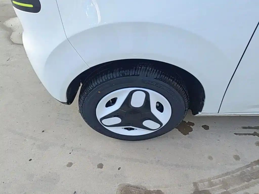 Panda 2025 Panda Mini 210km - Energetic Bear — миниатюра 23