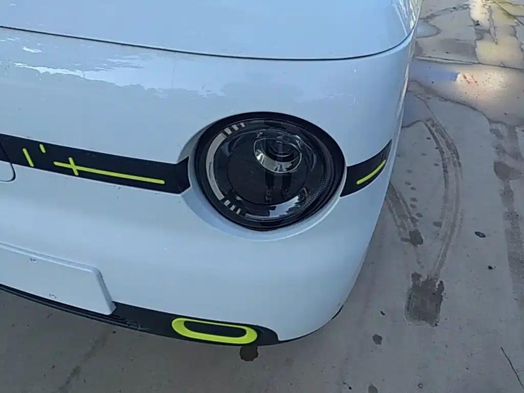 Panda 2025 Panda Mini 210km - Energetic Bear — миниатюра 24
