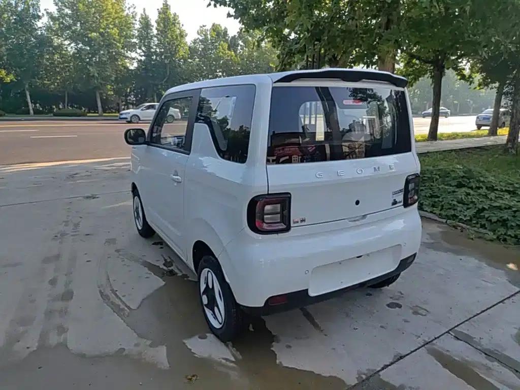 Panda 2025 Panda Mini 210km - Energetic Bear — миниатюра 5