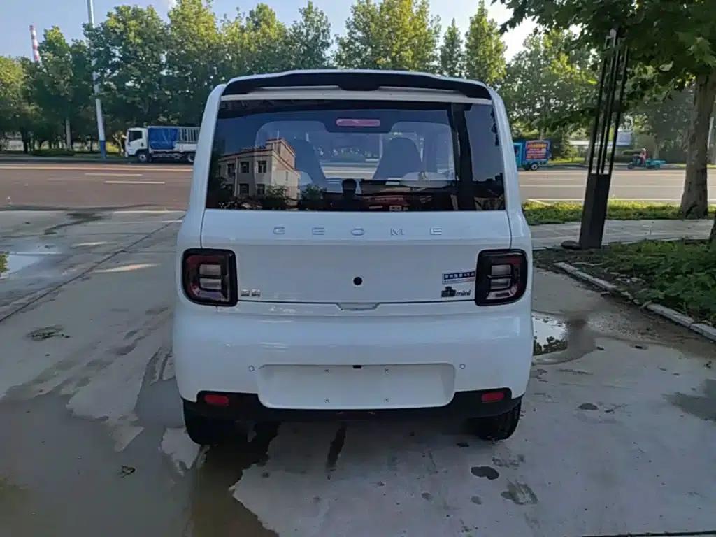 Panda 2025 Panda Mini 210km - Energetic Bear — миниатюра 6