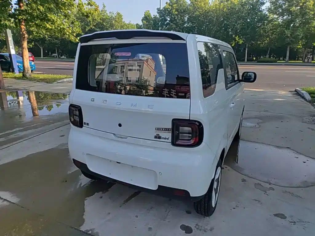 Panda 2025 Panda Mini 210km - Energetic Bear — миниатюра 7