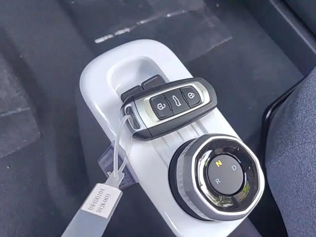 Panda 2025 Panda Mini 210km - Energetic Bear — миниатюра 9