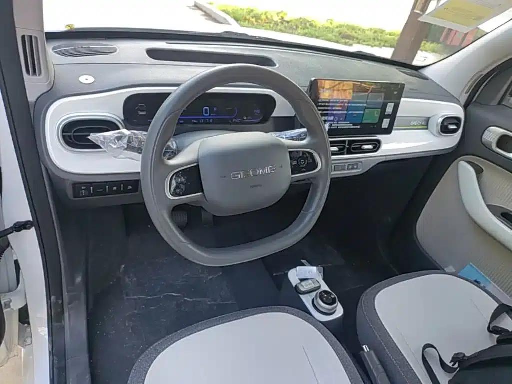 Panda 2025 Panda Mini 210km - Energetic Bear — миниатюра 10