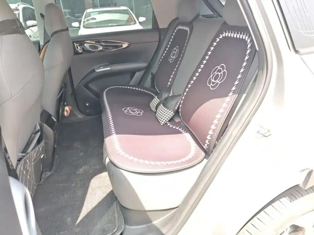 Star Wish 2026 Model 410km Freedom Edition — миниатюра 17