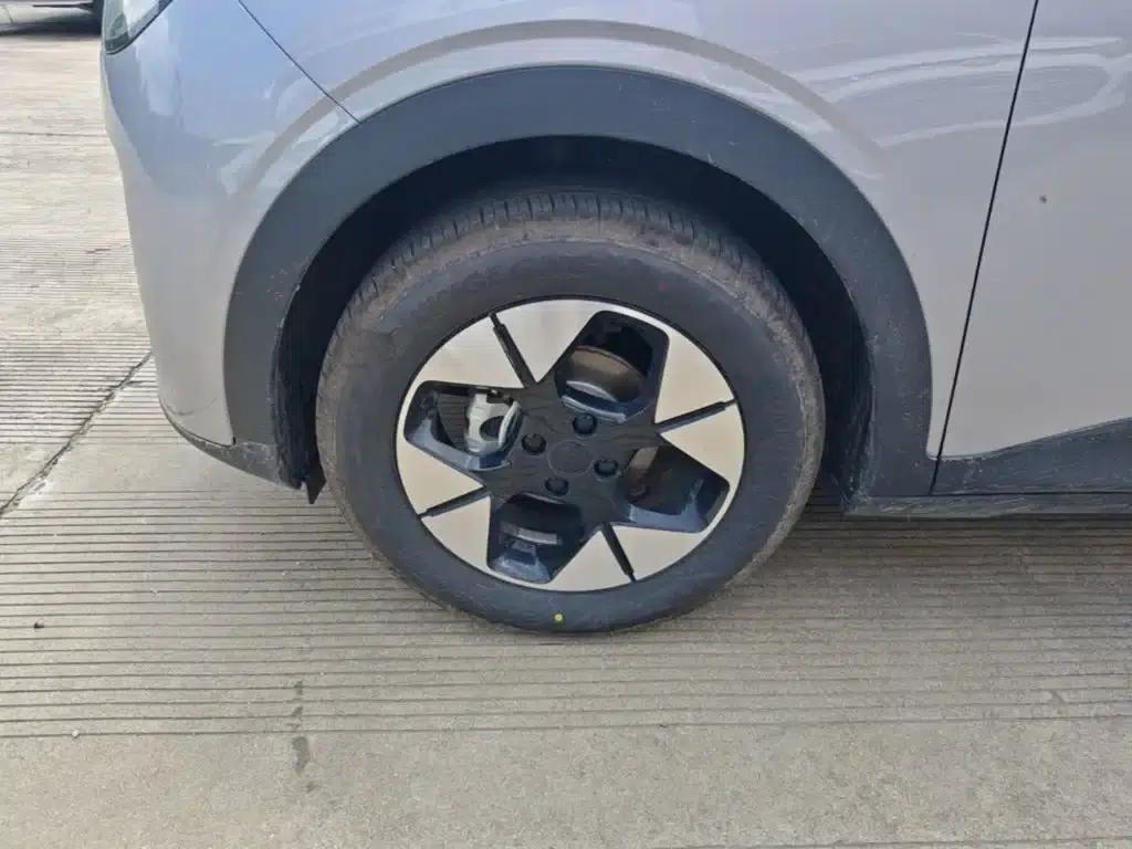 Star Wish 2026 Model 410km Freedom Edition — миниатюра 23