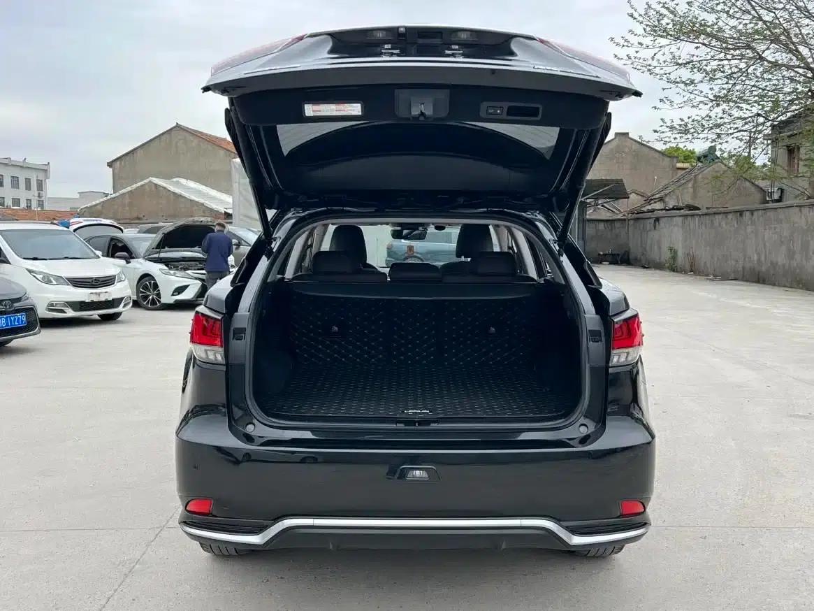 Lexus RX 2020 450h AWD Elegant Edition (China VI Emission Standard) — миниатюра 17