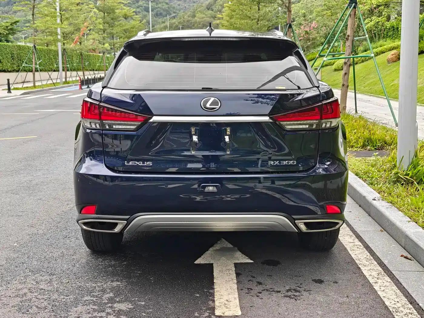 Lexus RX 2020 Facelift 300 2WD Comfort Edition — миниатюра 19