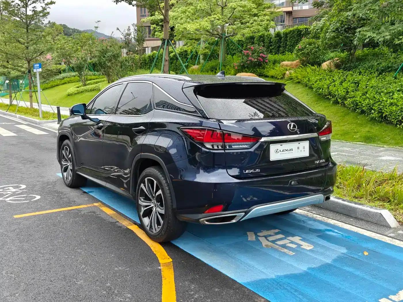Lexus RX 2020 Facelift 300 AWD Elegant Edition — миниатюра 16