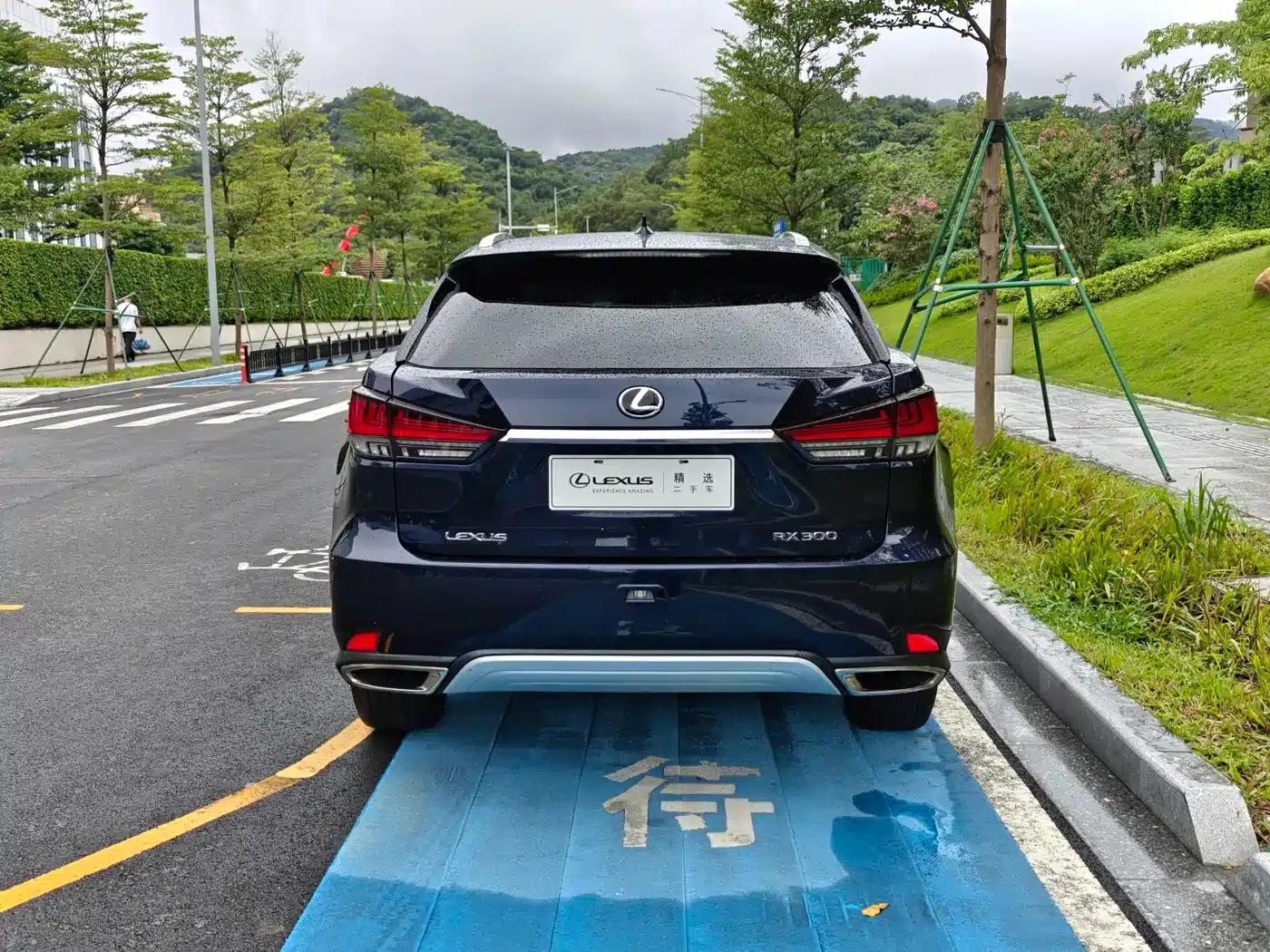 Lexus RX 2020 Facelift 300 AWD Elegant Edition — миниатюра 17