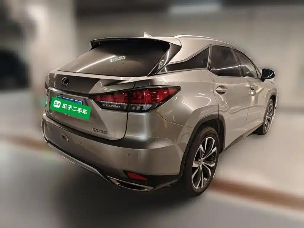Lexus RX 2020 300 AWD Elegant Edition (China VI Emission Standard) — миниатюра 4