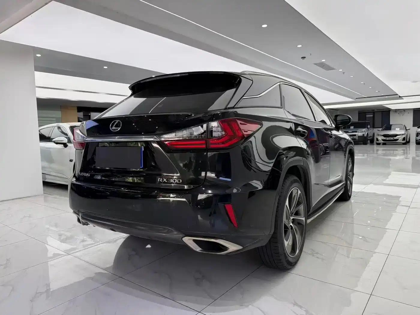 Lexus RX 2016 300 AWD Elegant Edition (China V Emission Standard) — миниатюра 9
