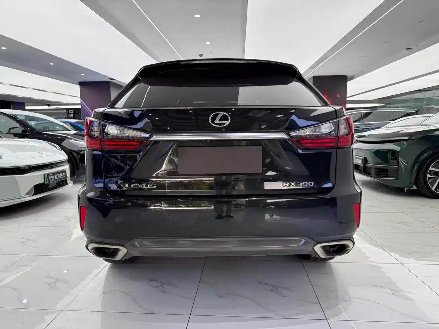 Lexus RX 2016 300 AWD Elegant Edition (China V Emission Standard) — миниатюра 10