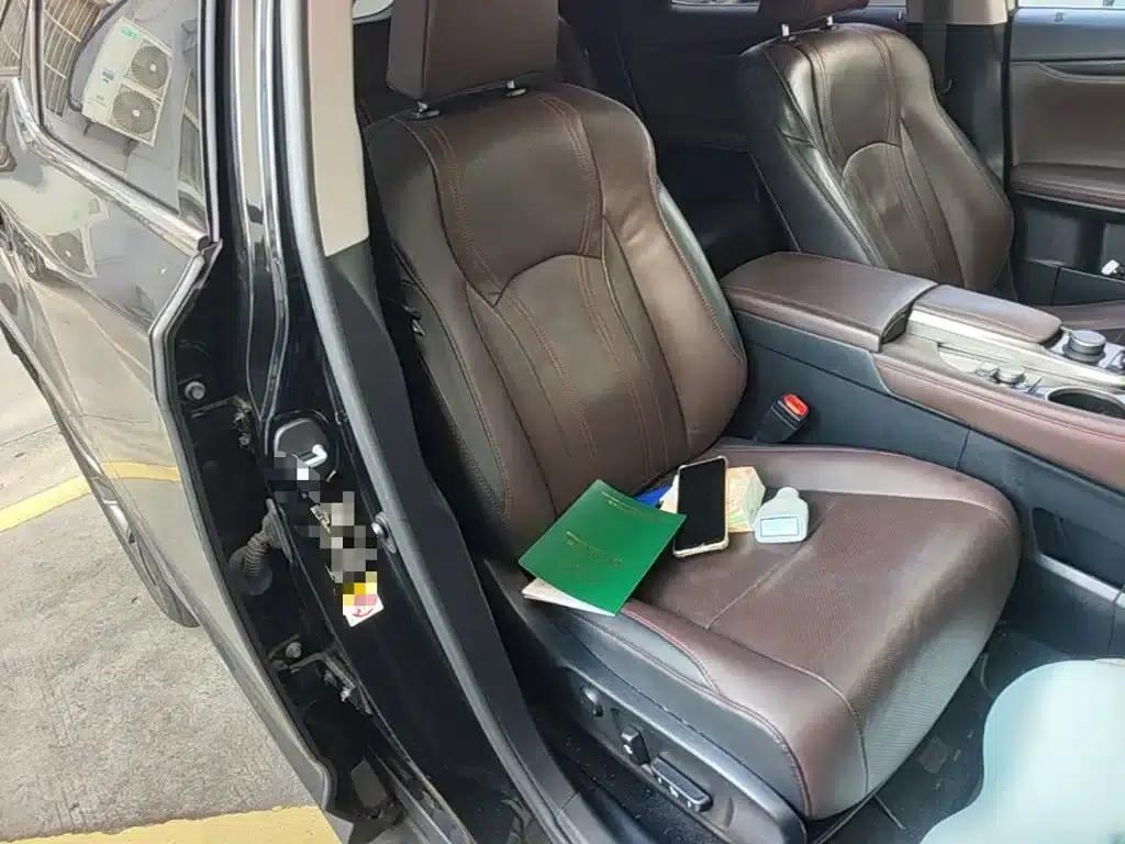 Lexus RX 2016 300 AWD Elegant Edition (China V Emission Standard) — миниатюра 25