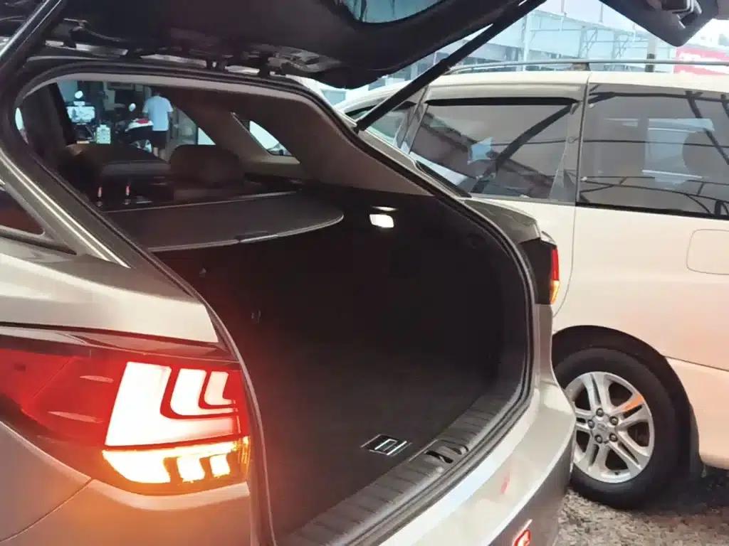 Lexus RX 2020 300 AWD Elegant Edition (China VI Emission Standard) — миниатюра 19