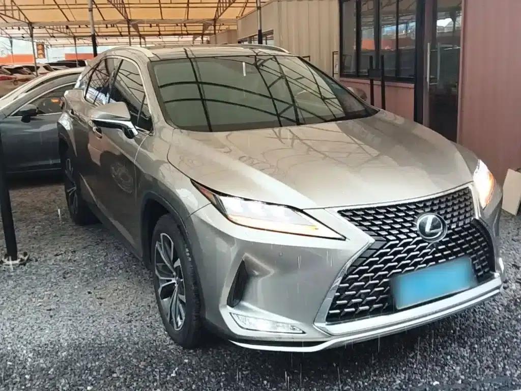 Lexus RX 2020 300 AWD Elegant Edition (China VI Emission Standard) — миниатюра 4