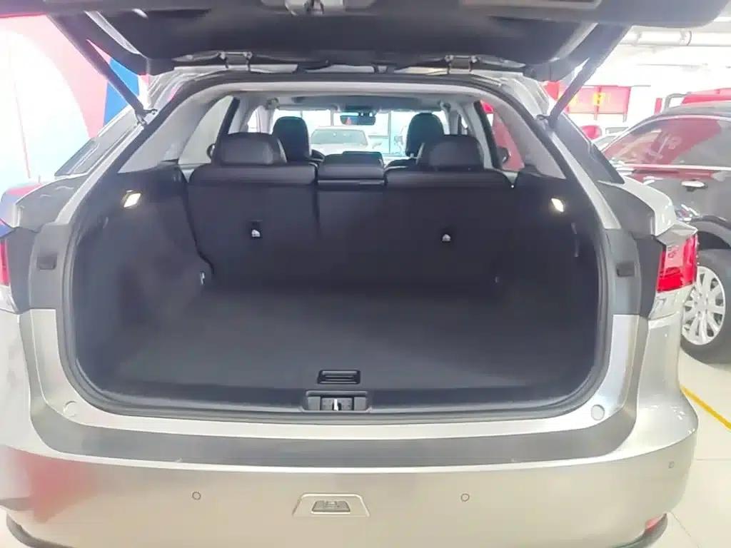 Lexus RX 2020 Facelift 300 2WD Elite Edition — миниатюра 19