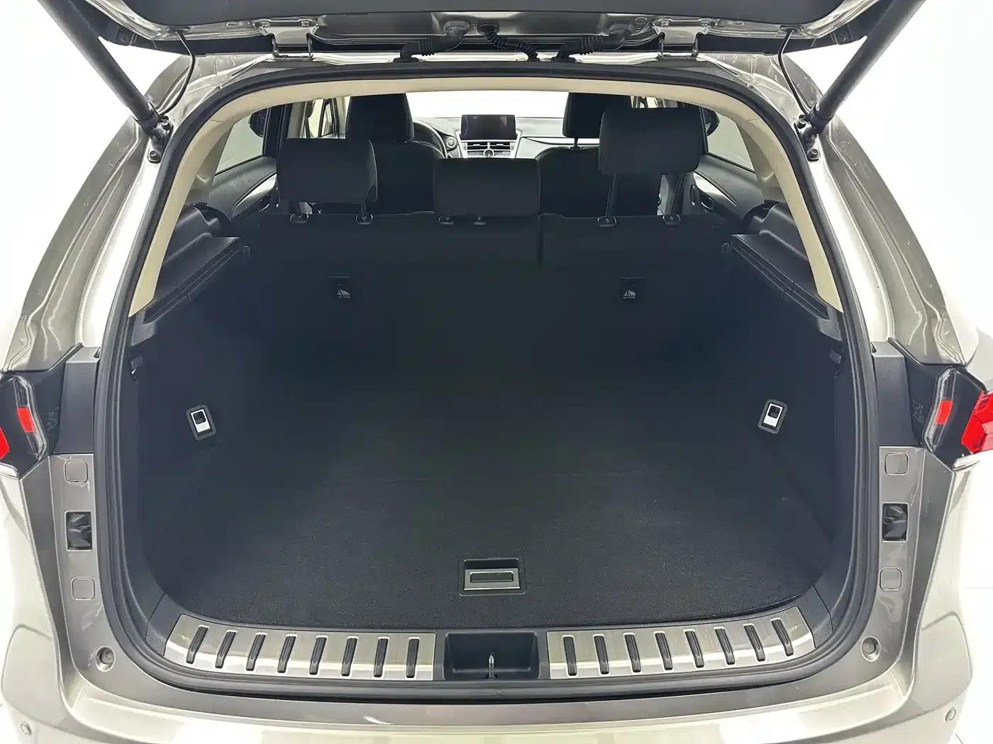 Lexus NX 2020 200 FWD Sport Edition (China V Emission Standard) — миниатюра 18