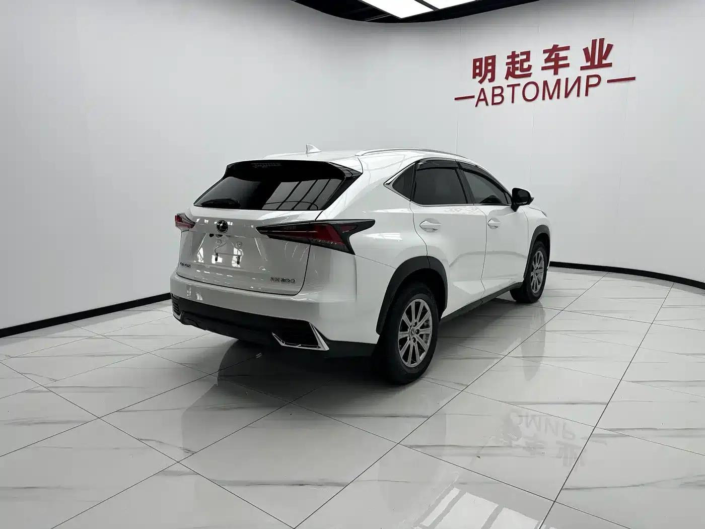 Lexus NX 2020 200 AWD Sport Edition (China VI Emission Standard) — миниатюра 9