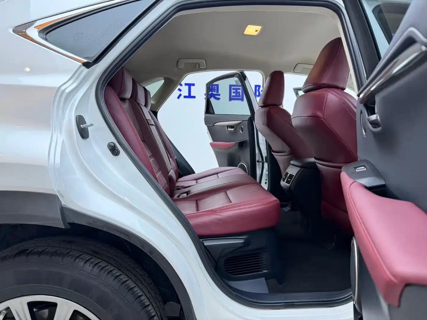 Lexus NX 2020 200 FWD Sport Edition (China V Emission Standard) — миниатюра 18