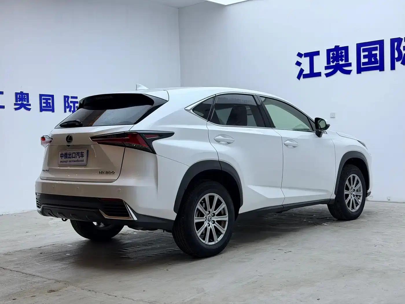 Lexus NX 2020 200 FWD Sport Edition (China V Emission Standard) — миниатюра 21