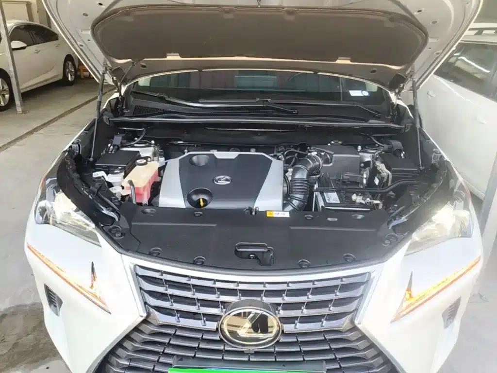 Lexus NX 2017 200 AWD Sport Edition — миниатюра 20