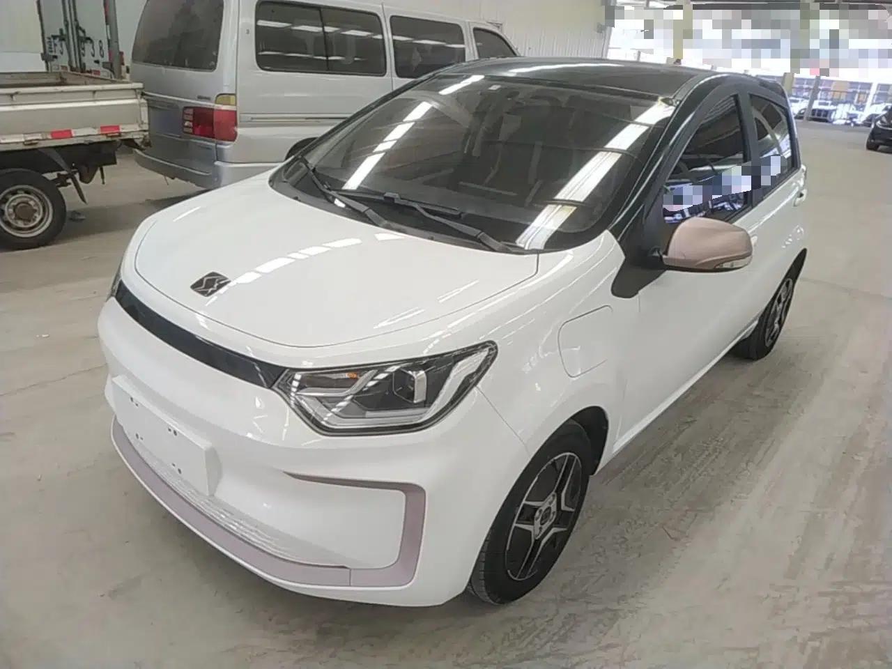 SOL E10X 2021 302 km Range Fashion Edition 31.4 kWh — миниатюра 1