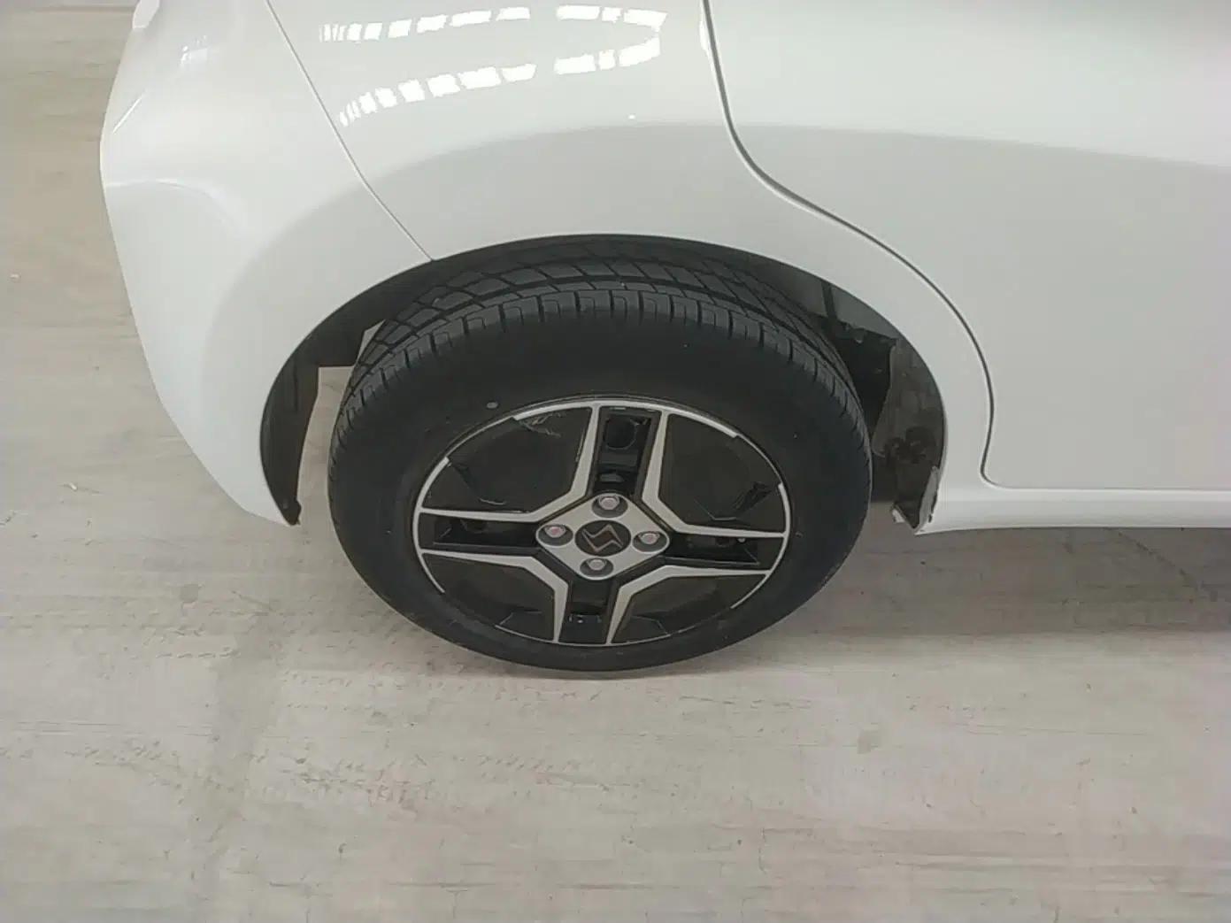 SOL E10X 2021 302 km Range Fashion Edition 31.4 kWh — миниатюра 11