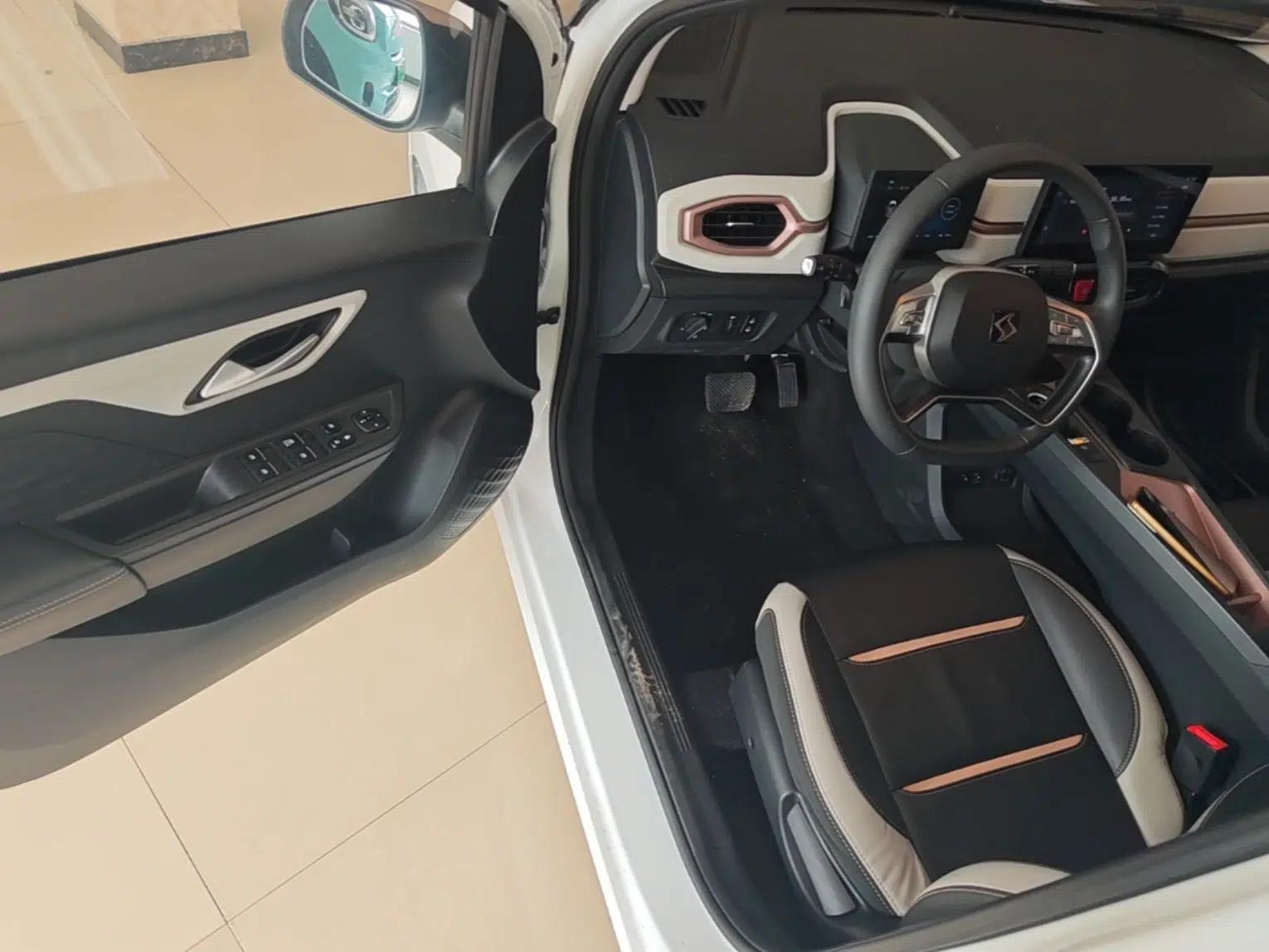 SOL E10X 2021 Jimei Edition 302km Luxury Model — миниатюра 23